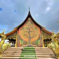 ทะเลหมอกในวัดเรืองแสง อุบลราชธานี