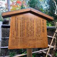 平家物語に登場する悲恋の尼寺【祇王寺】✨