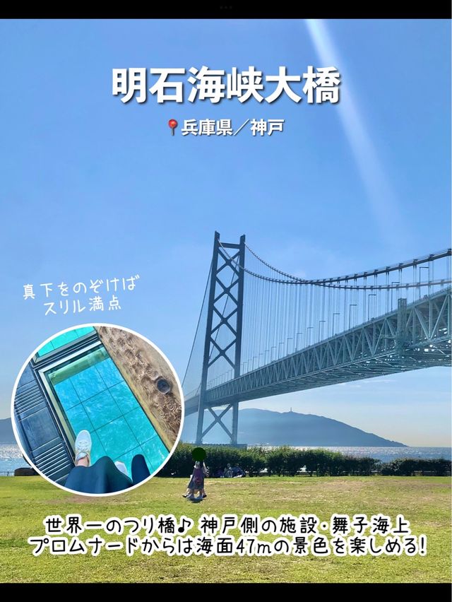 【兵庫】行ってよかった兵庫の観光スポット7選