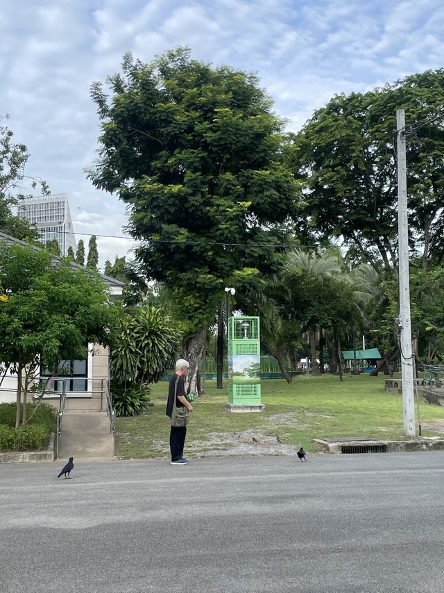 방콕여행 호주같은 룸피니공원🌳🌴