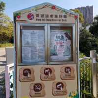 水塘扒船仔