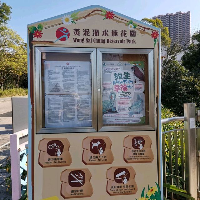 水塘扒船仔