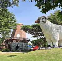 ฟาร์มแกะพัทยาและสวนนกโชว์ 🐑🦜