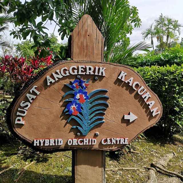 TAMAN PERTANIAN SABAH 