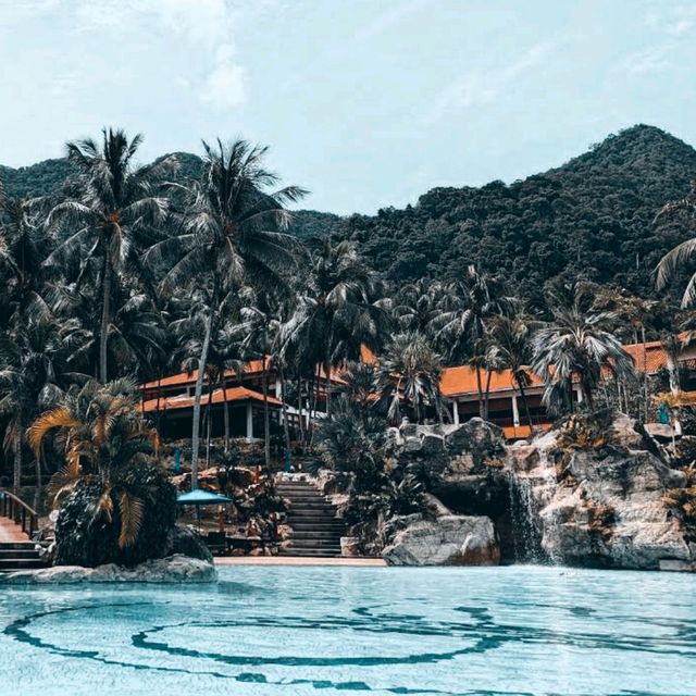Nature around and good vibes ! 