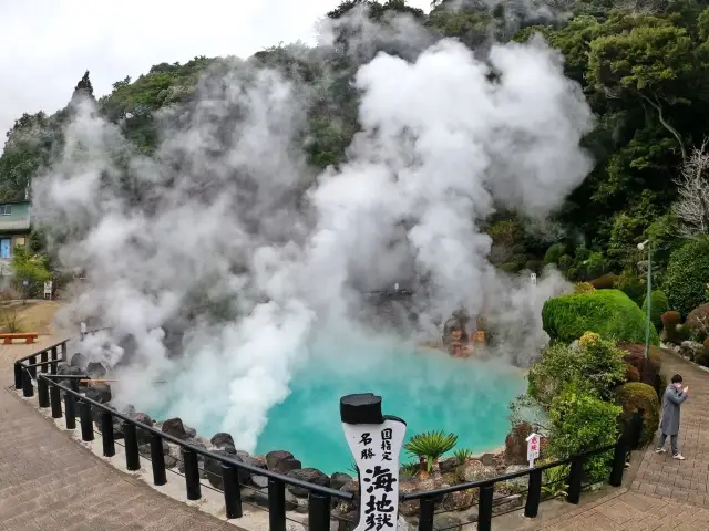 【大分県】別府温泉ならここへ！！