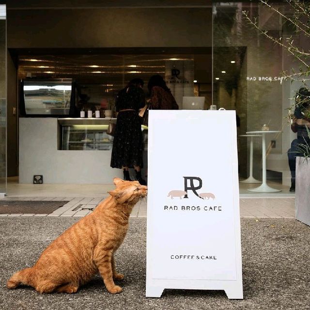 RAD BROS CAFE