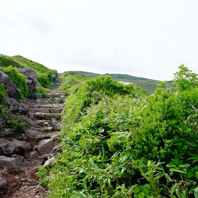 初夏の鳥海山道中