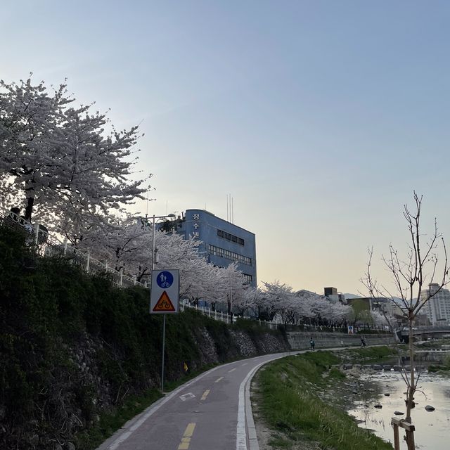 사계절 언제든 걷기 좋은 성북천 산책로