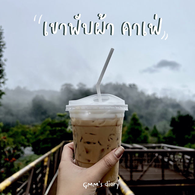 จิบกาแฟ แลสายหมอก 🏔