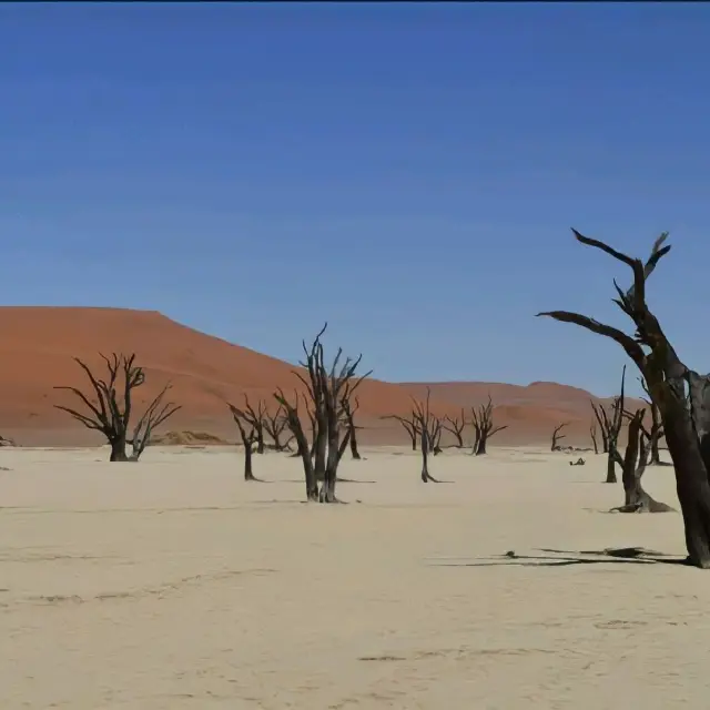 【世界最古の砂漠】ナミブ砂漠とデッドフレイが幻想的