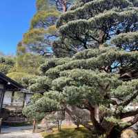 【銀閣寺】日本庭園🇯🇵