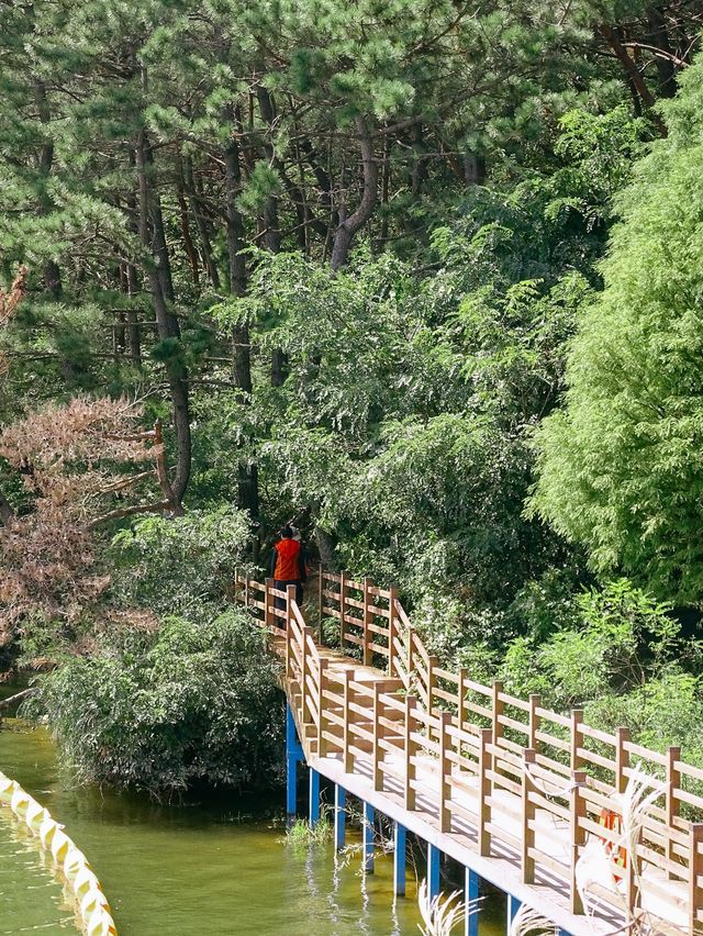 부산 봄맞이 여행명소 “금정 회동호 둘레길” 🌸