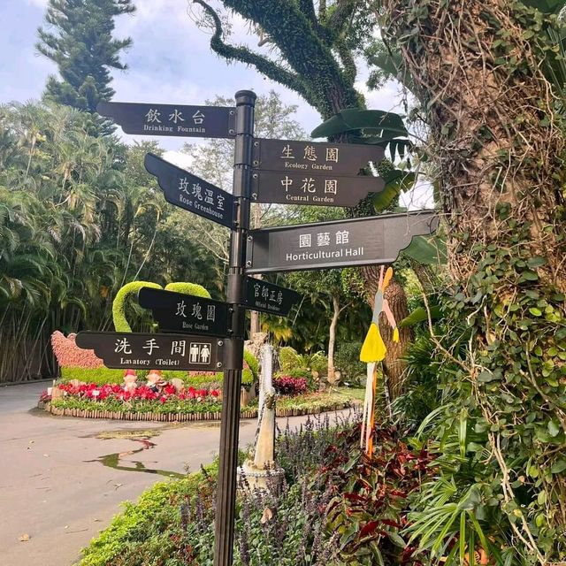 賞花必到的士林官邸玫瑰園🌹🥀
