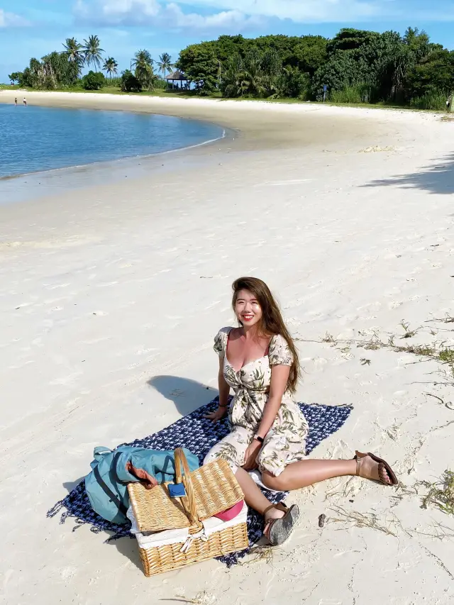 Picnic by the Beach