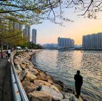 打卡勝地-藍巴勒海峽和青衣島的優美景色