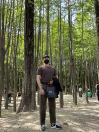 봄이라면 꼭 가줘야하는 “서울숲”🍃