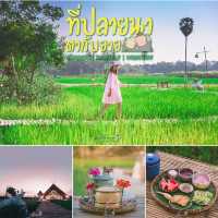 กำเงิน 1,000 มานอนโฮมสเตย์ที่อุทัยธานี