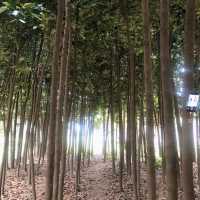 台南山上區水道博物館