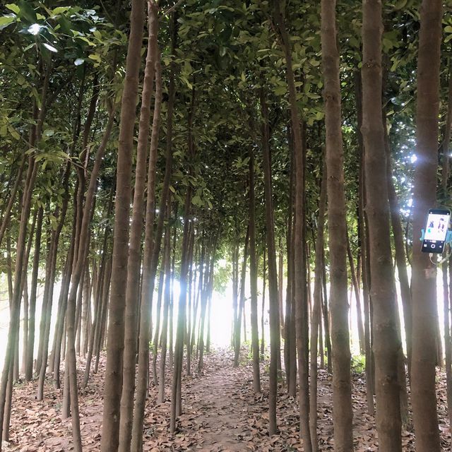 台南山上區水道博物館