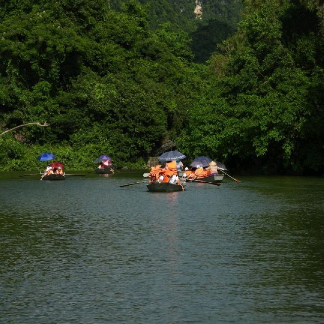 寧平必玩景點--松芽鳥類生態旅遊區Khu du lịch sinh thái Thung Nham - Ninh Bình