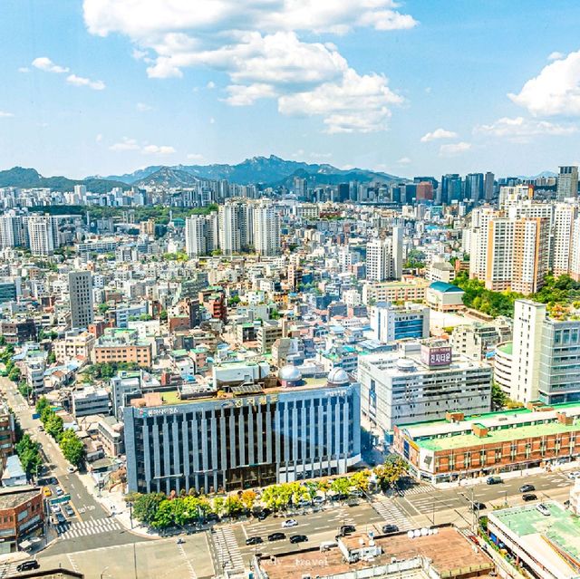 남산뷰 맛집, 드래곤시티 노보텔 주니어스위트룸 💚 