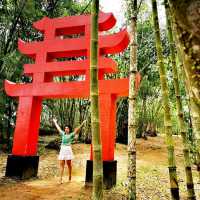 Greenary day out @ Bamboo Garden