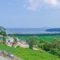 남해 독일마을과 바다를 한눈에 담은 🇩🇪할로브리즈 카페