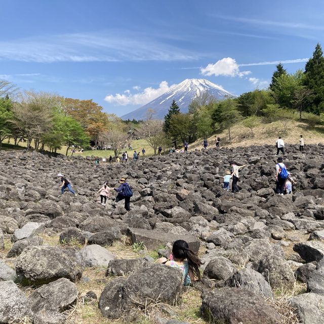 【静岡】富士山こどもの国