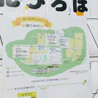 愛知県！知多半島にある秋のコキア畑