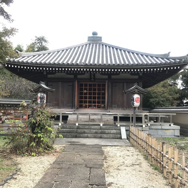 ชมใบไม้เปลี่ยนสีที่วัดtozenji🍁🍁🍁