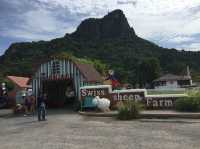 Swiss Sheep Farm 