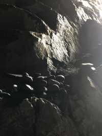 鶴咀旅 | 適合新手｜ 鶴咀海岸保護區 