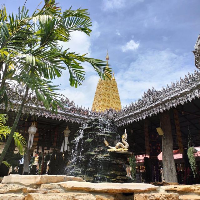 สายมูห้ามพลาด 🙏🏻 ไหว้สักการะพระราหูอมจันทร์