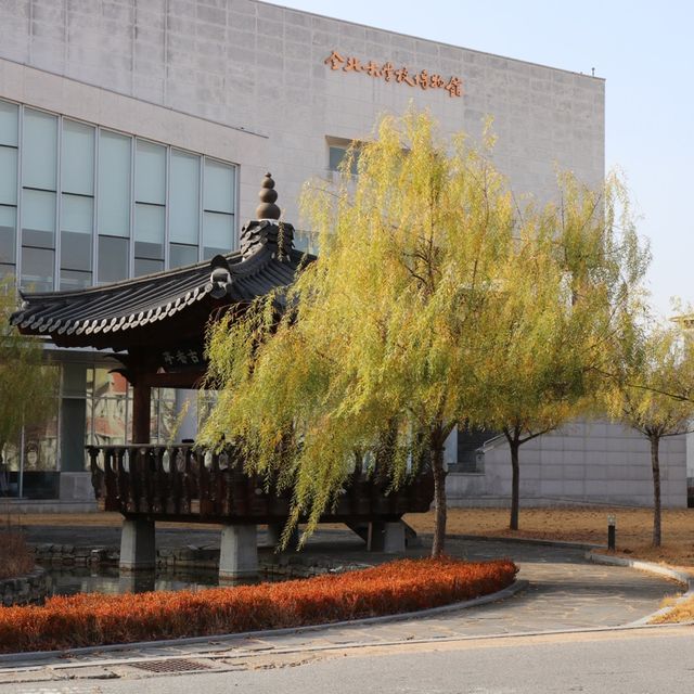 가을을 만끽할 수 있는 전북대학교 캠퍼스🍂