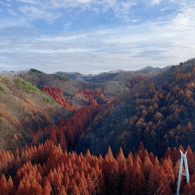 단풍구경명소로 핫한 장태산🍁