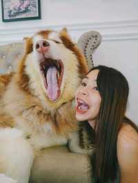 Husky House Cafe ชลบุรี