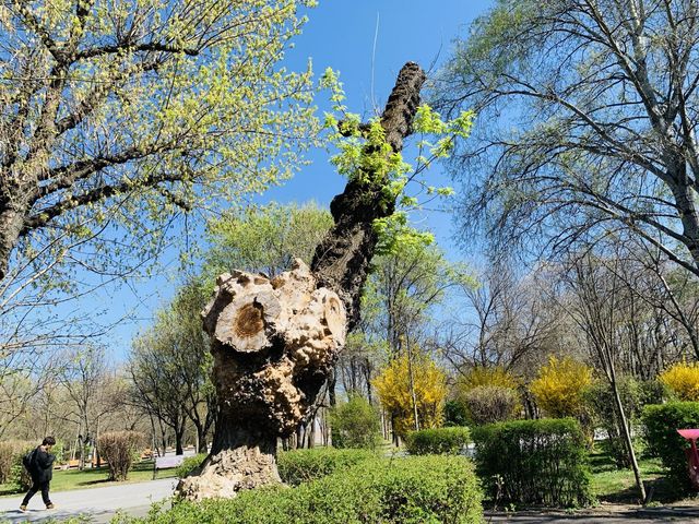 羅馬尼亞景點-泰坦公園 Parcul Titan