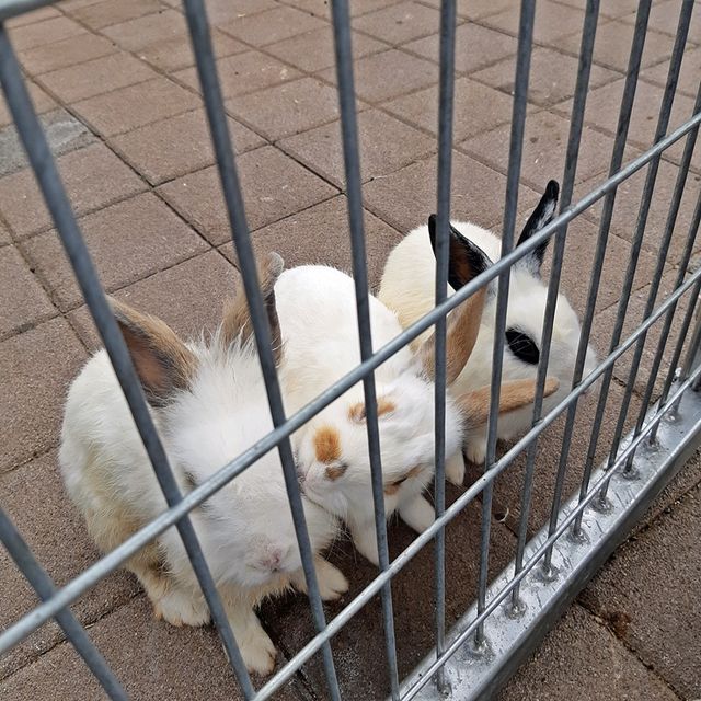 동물과 식물을 한 곳에서, 파주 퍼스트 가든