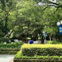 Zhongshan Park Ningbo