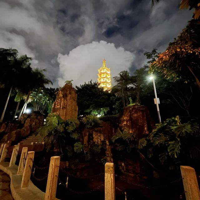 打卡深圳龍華公園的夜景