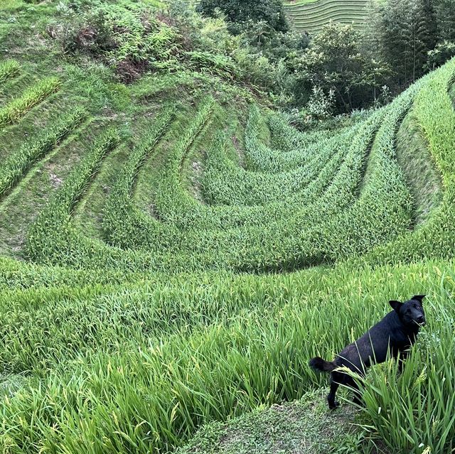 環中國騎遊（第十九天-養眼日）