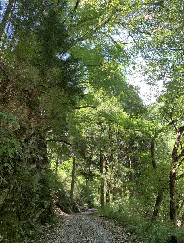 南足柄方面のお勧め川スポット✨