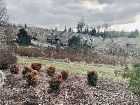 Seattle, USA has the most beautiful clouds in the world.