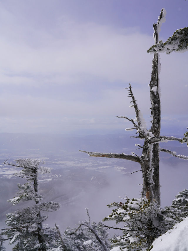 Climbed to the summit of Mount Ryoukou in Japan, one of the 100 famous mountains, during the severe winter season.