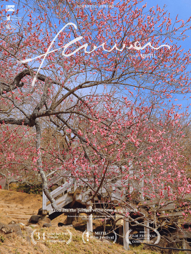 Japan's Ibaraki Tsukuba Mountain Plum Garden