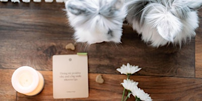 Summer Evening Power Yoga with Bunnies July 17th | Blue Dot Acres