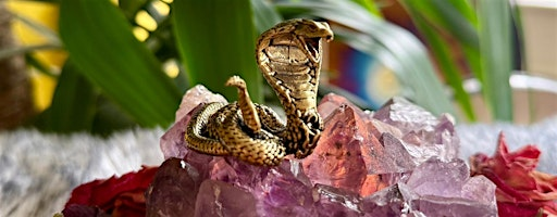SERPENT - Shedding the Past | Studio 6, UNIT 3 Scott Hall Mills