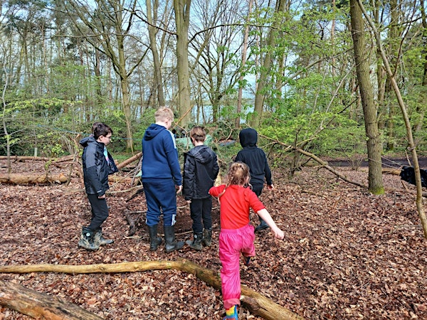 Langdon Forest School Home Education Sessions (6 weeks) | Langdon Nature Discovery Park