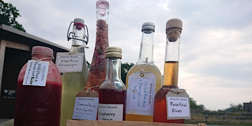 Autumn Wild Cocktails (VCC2806) | Carlton Marshes Nature Reserve & Visitor Centre